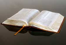 bible_reflection