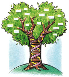 genealogy_tree