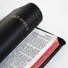 new-bible