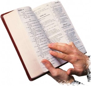 biblia-read3