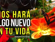 Dios hará algo nuevo en tu vida – Video Devocional