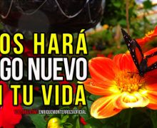 Dios hará algo nuevo en tu vida – Video Devocional