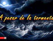 A pesar de la tormenta…